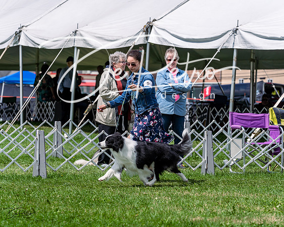 20230818-DSC05455