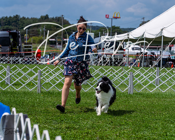 20230818-DSC05469