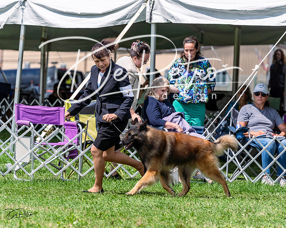 20230818-DSC05475