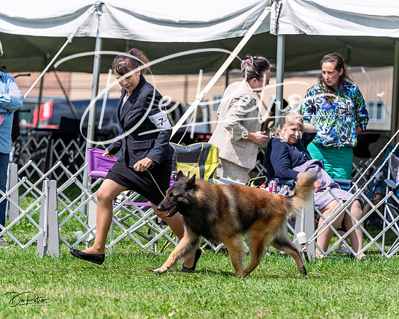 20230818-DSC05477