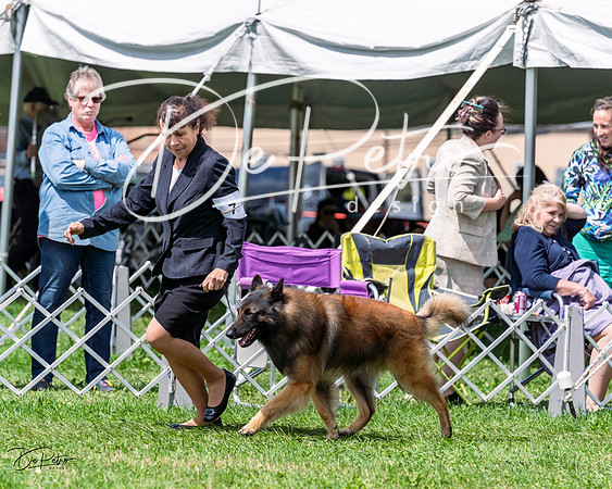 20230818-DSC05479