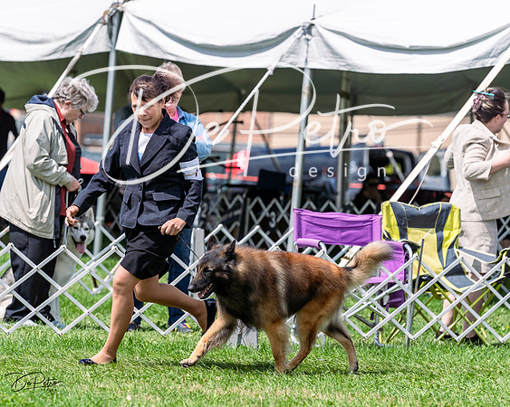 20230818-DSC05481