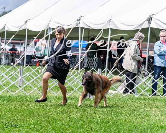 20230818-DSC05484