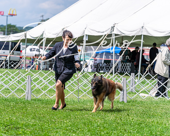 20230818-DSC05487