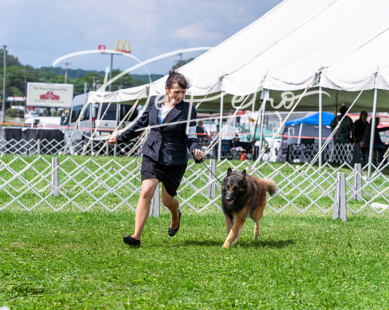 20230818-DSC05491