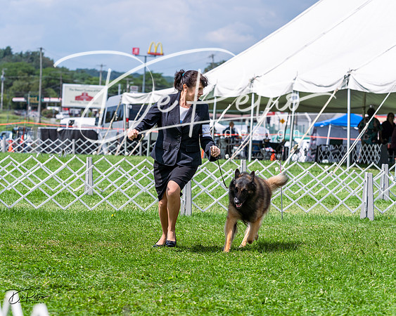 20230818-DSC05493