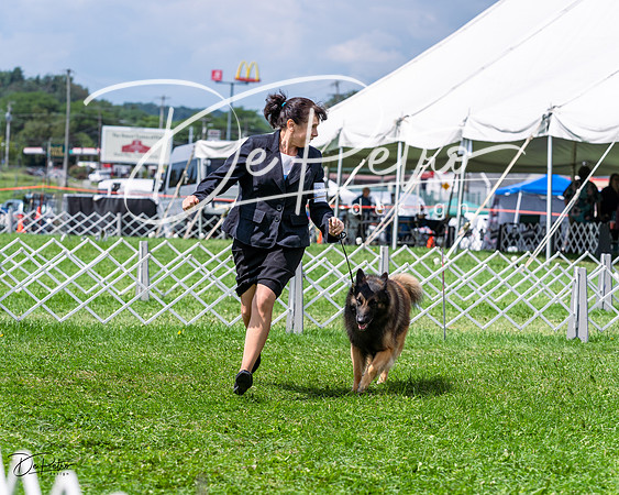 20230818-DSC05494