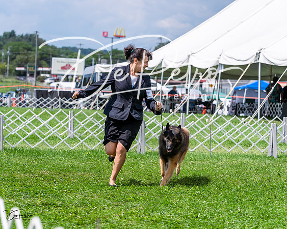 20230818-DSC05495