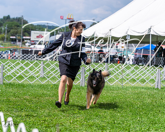 20230818-DSC05497