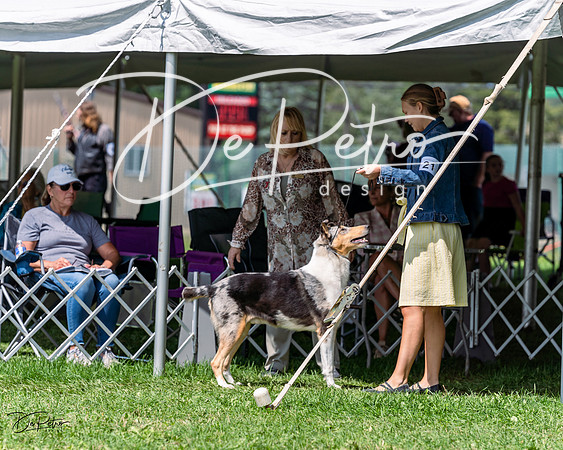 20230818-DSC05507