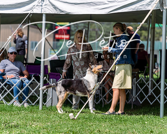 20230818-DSC05508