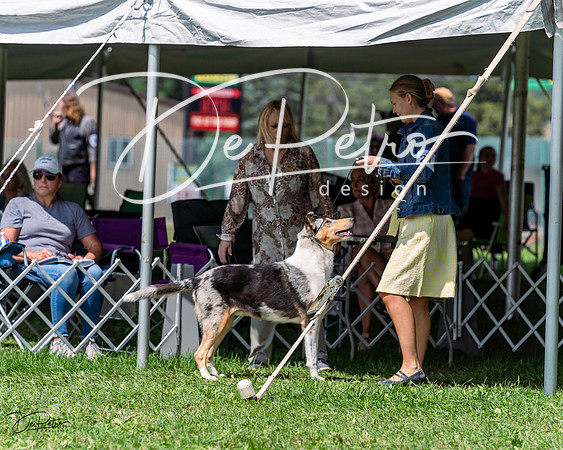 20230818-DSC05509