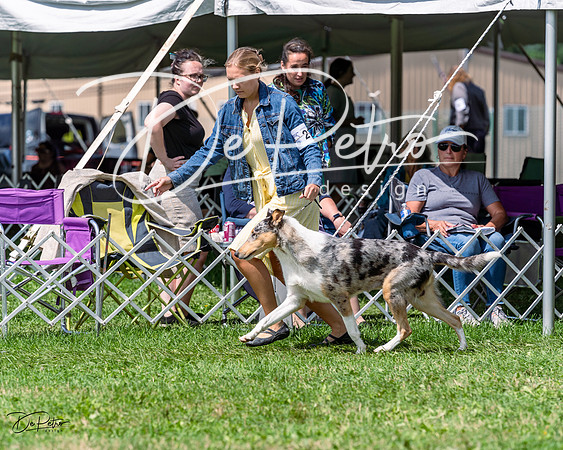 20230818-DSC05511