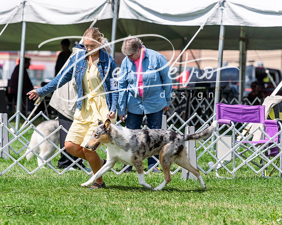 20230818-DSC05521