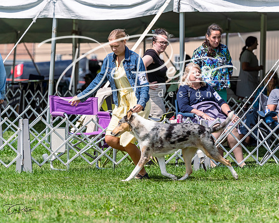 20230818-DSC05514