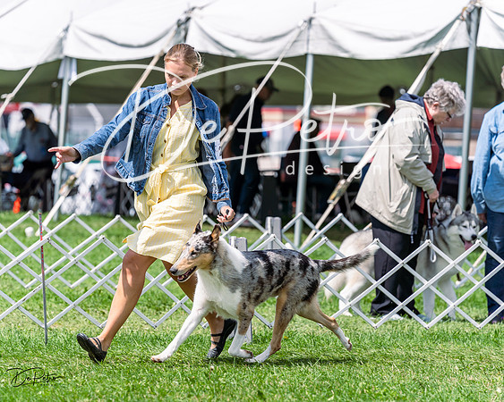 20230818-DSC05526