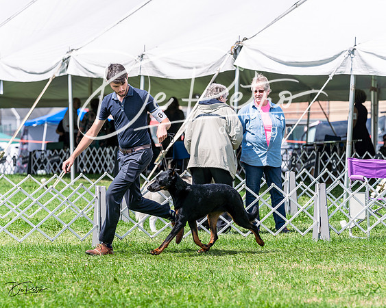20230818-DSC05541
