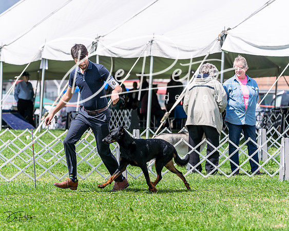 20230818-DSC05543