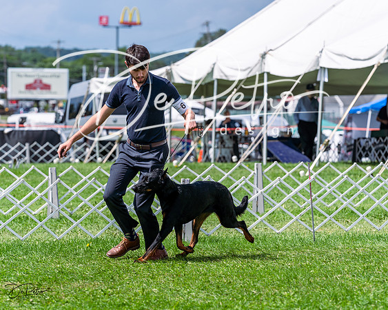 20230818-DSC05550