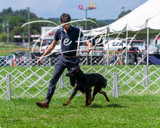 20230818-DSC05552