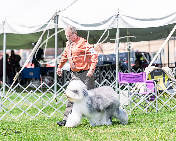 20230818-DSC05565