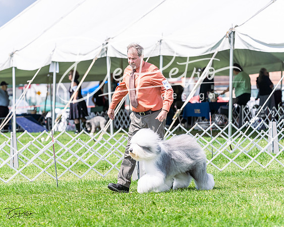 20230818-DSC05571
