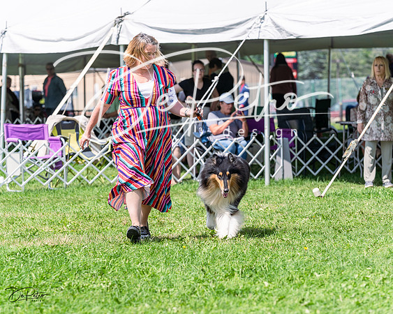 20230818-DSC05578