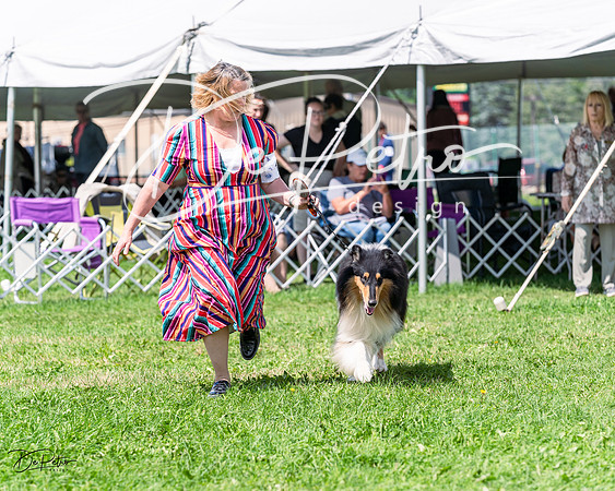 20230818-DSC05580