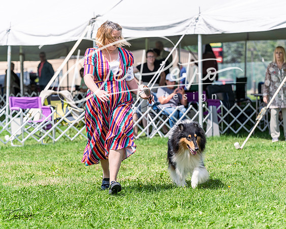 20230818-DSC05582