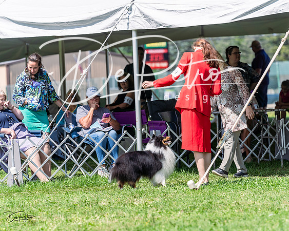 20230818-DSC05599