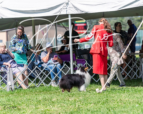 20230818-DSC05600