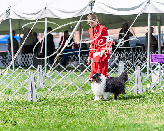 20230818-DSC05613