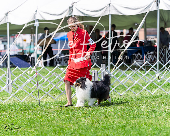 20230818-DSC05620