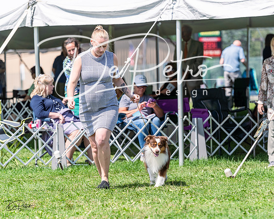 20230818-DSC05626