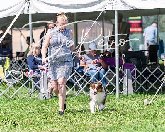 20230818-DSC05628