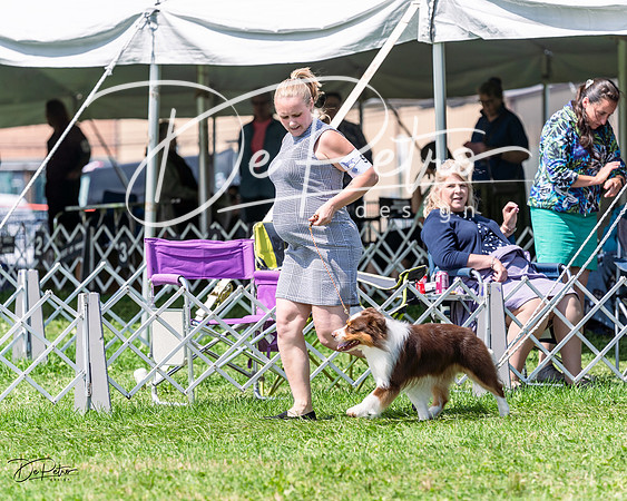 20230818-DSC05643