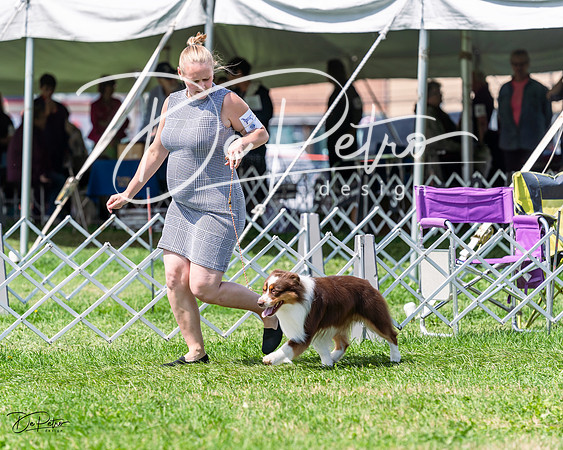 20230818-DSC05651