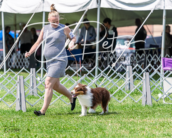 20230818-DSC05654