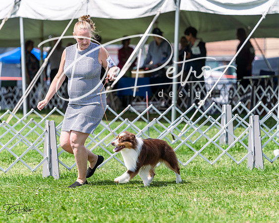 20230818-DSC05655