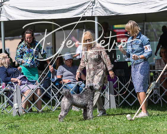 20230818-DSC05684