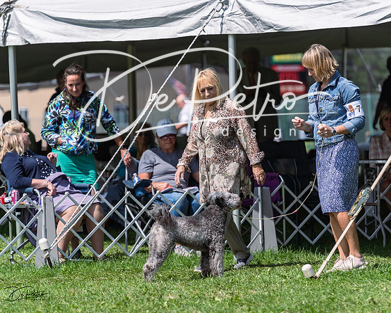 20230818-DSC05685