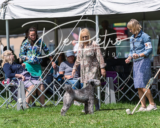 20230818-DSC05686