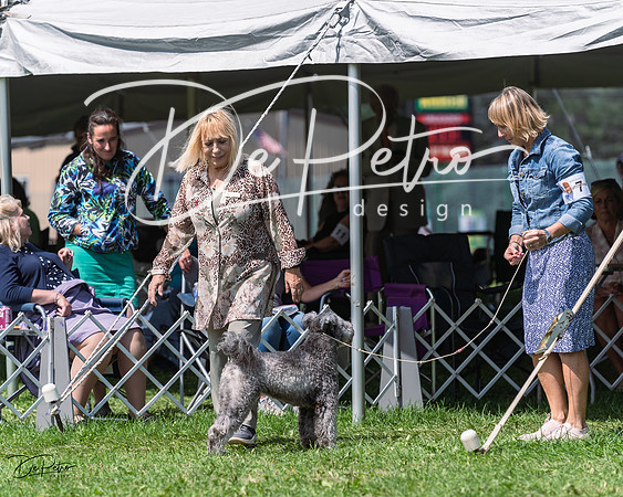 20230818-DSC05687