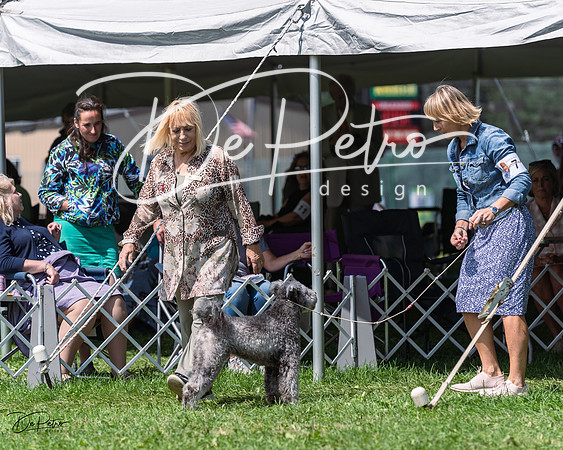 20230818-DSC05688