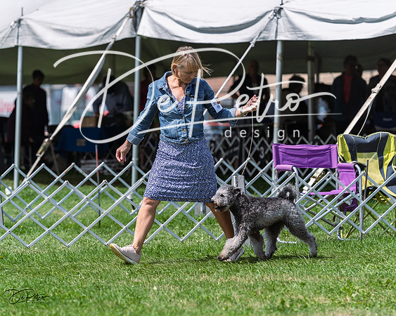 20230818-DSC05698