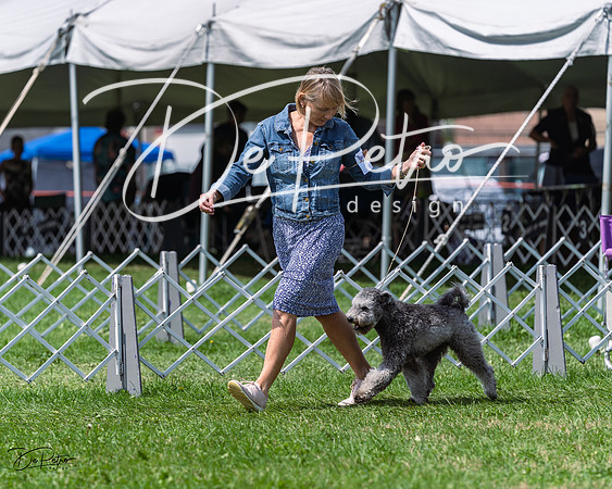 20230818-DSC05702