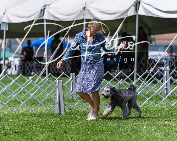 20230818-DSC05704