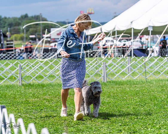 20230818-DSC05719