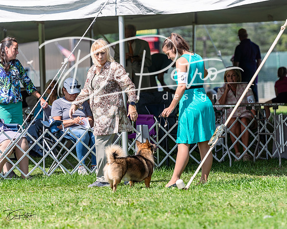 20230818-DSC05725