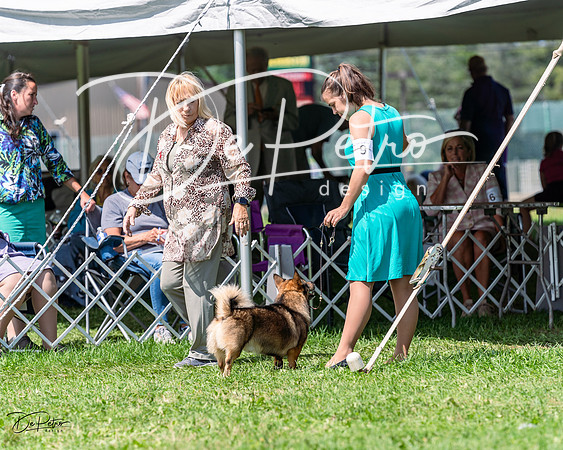 20230818-DSC05726